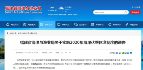 厦门5月新政策汇总与网站建设指南
